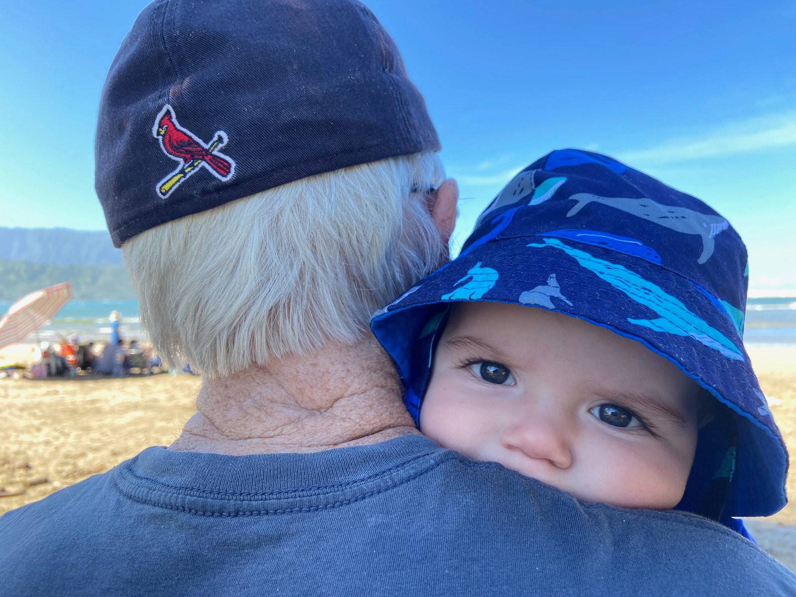 Harrison and Papa