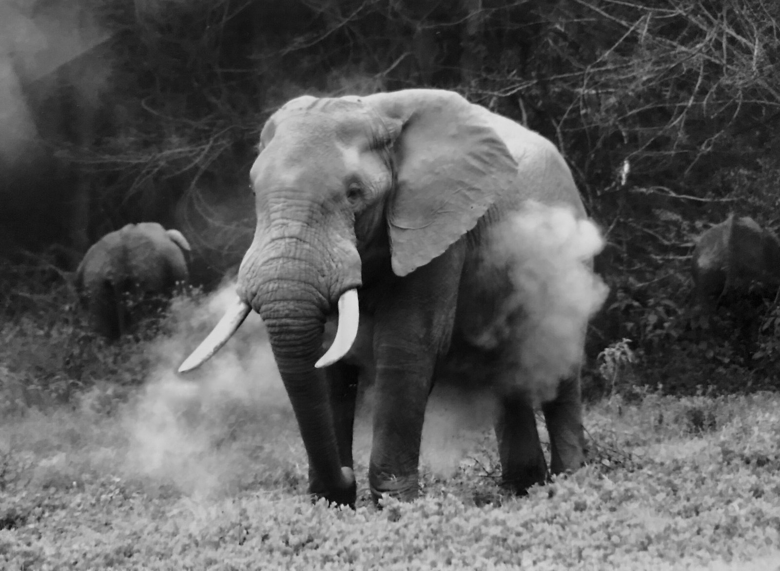 Kenya 2006