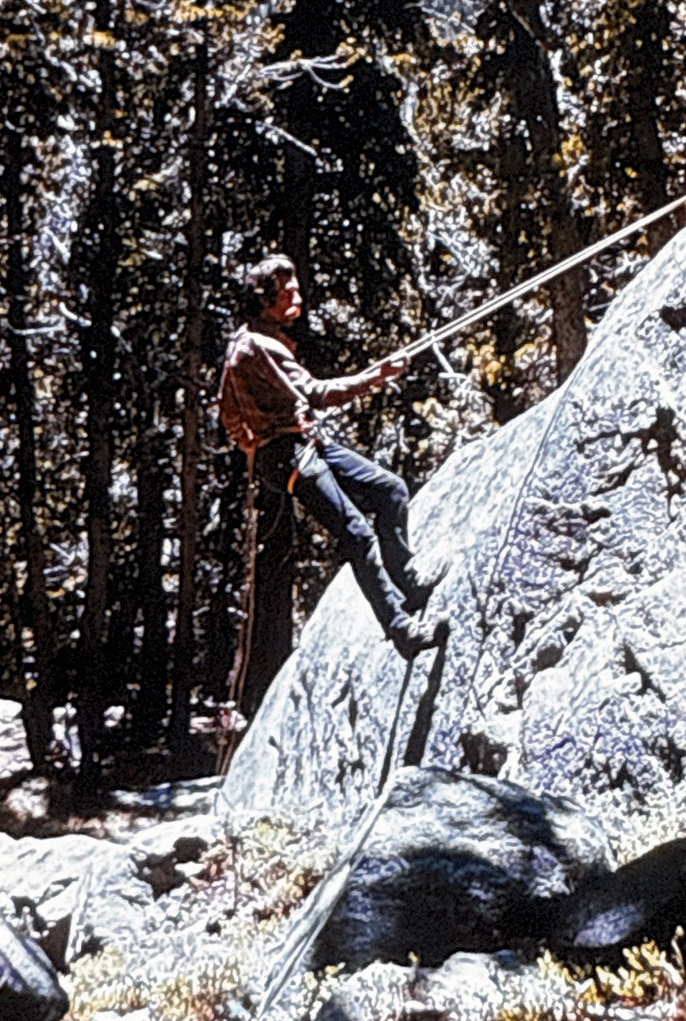 NOL in Wyoming